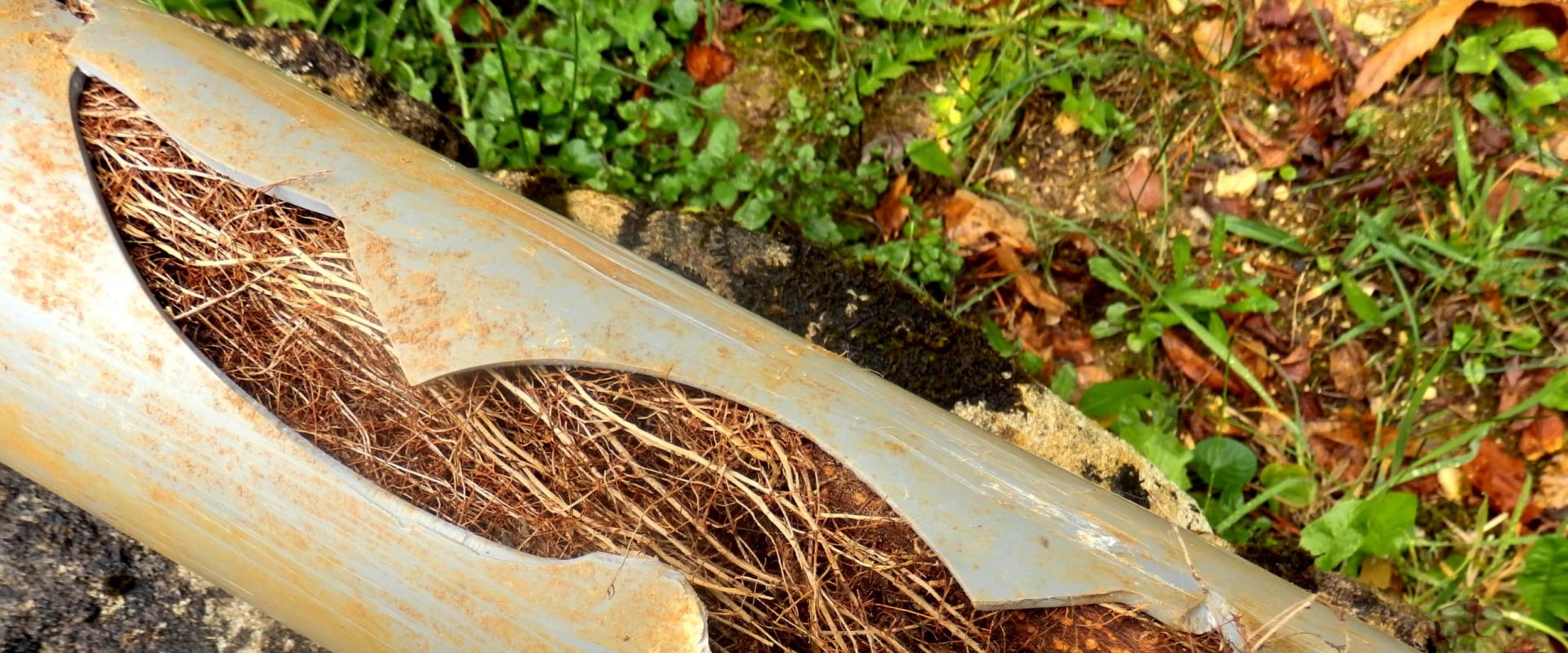 Root Removal from Drains: An Overview