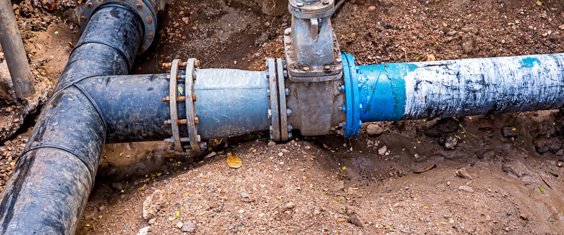 Sewer Line Repair: What You Need to Know