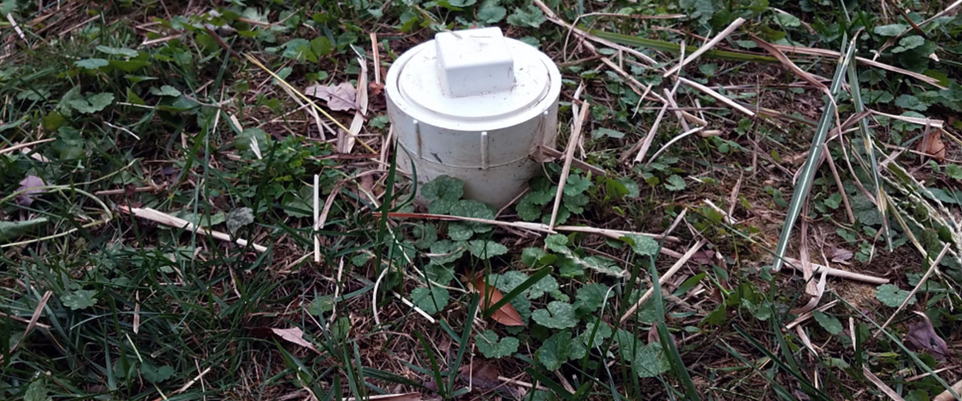 Everything You Need to Know About Yard Plumbing Installation