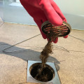Shower Drain Clog Repair